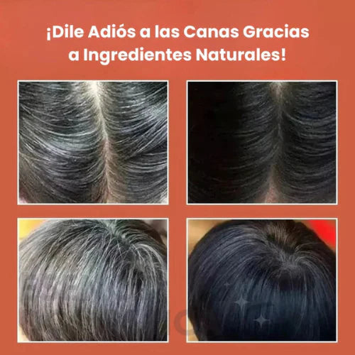 Combo Chau Canas y Chau Frizz🎁